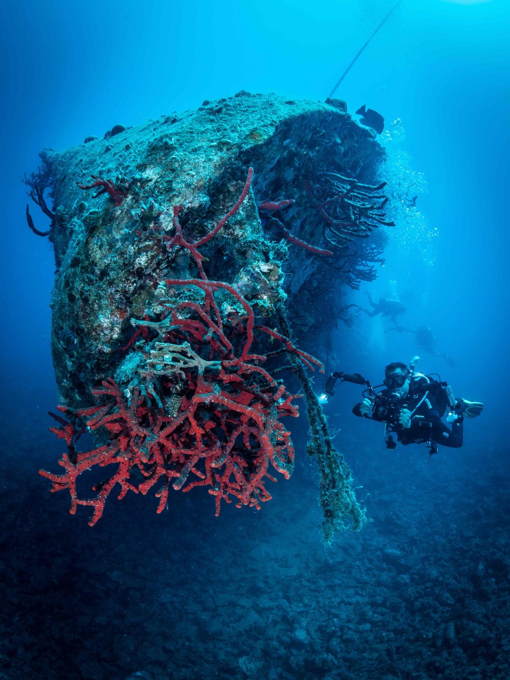 Diver swims to the bow of the wreck