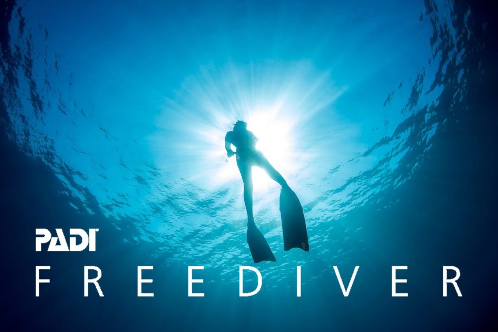 Freediver